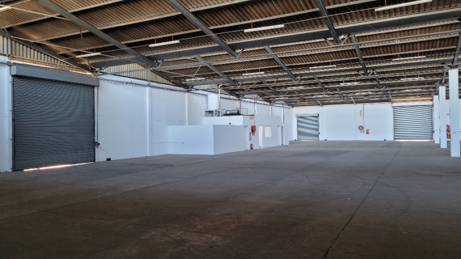 To Let Commercial Property for Rent in Epping Industrial Western Cape